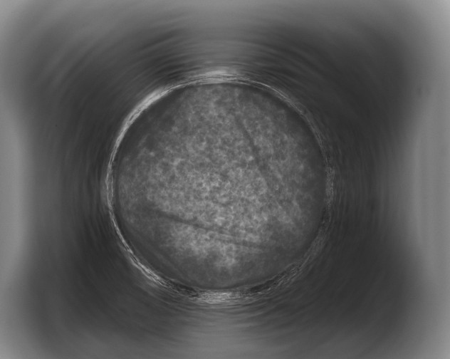 X0000103321474200810060945