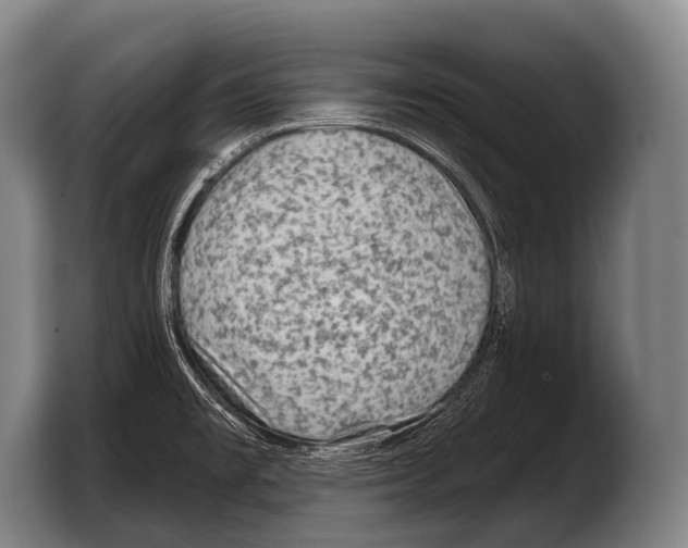 X0000103321477200810060945