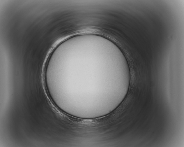 X0000103321478200810060945