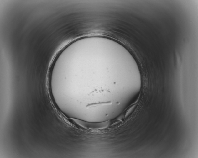 X0000103321480200810060945