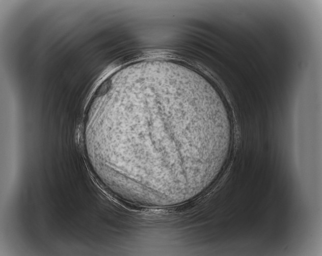 X0000103321481200810060945