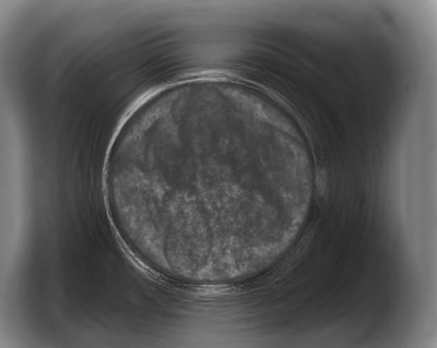 X0000103321482200810060945