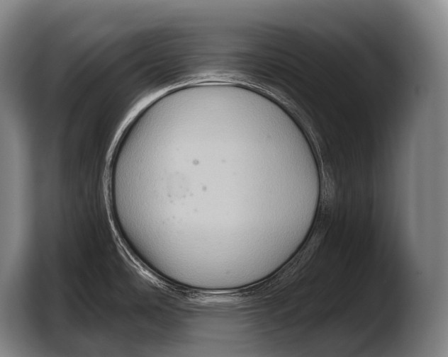 X0000103321486200810060945