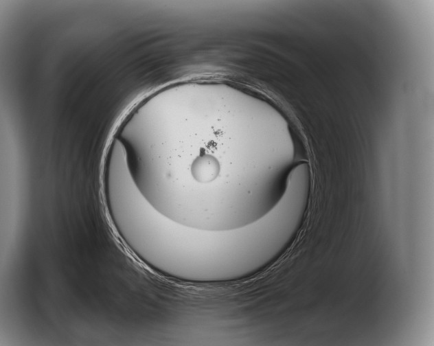 X0000103321488200810060945