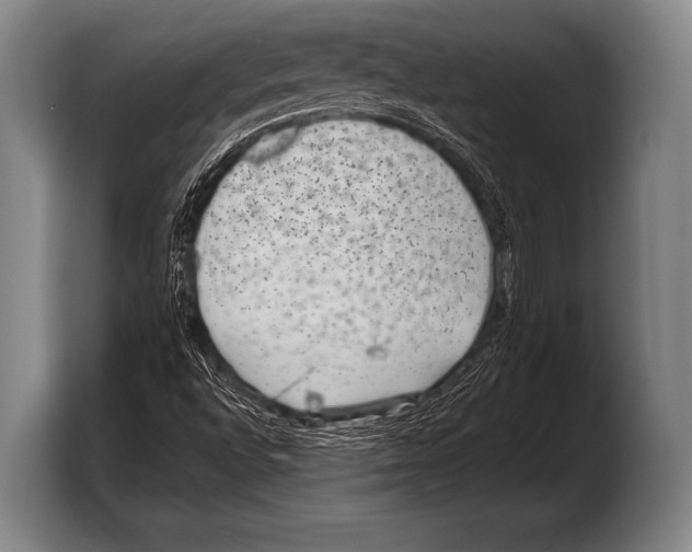 X0000103321496200810060944