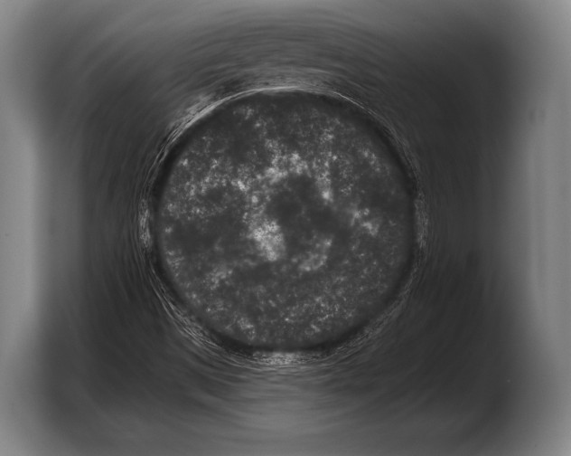 X0000103321497200810060944