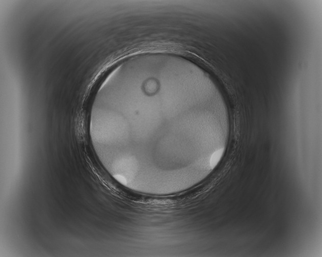 X0000103321498200810060944