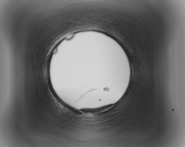 X0000103321500200810060944