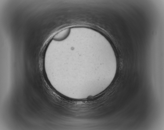 X0000103321504200810060944