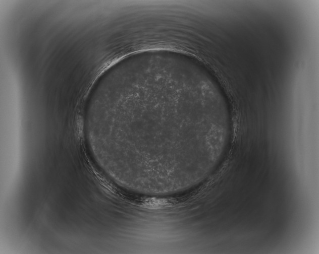 X0000103321505200810060944