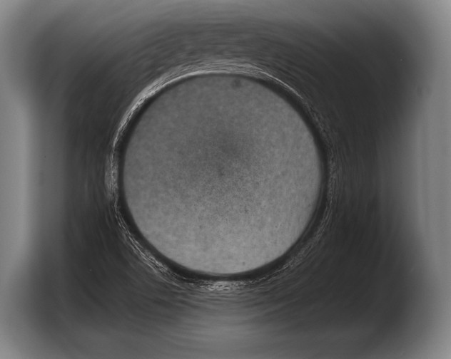 X0000103321506200810060944