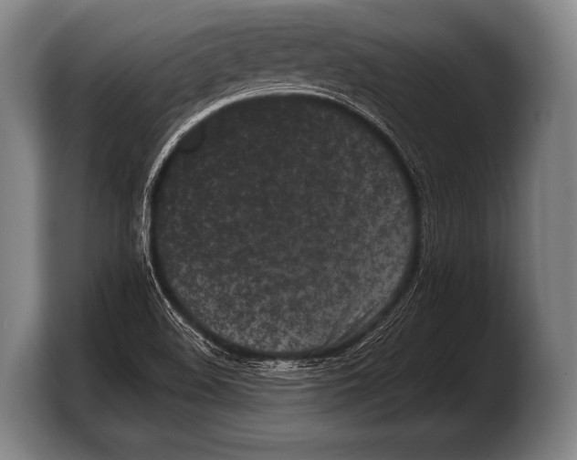 X0000103321508200810060944