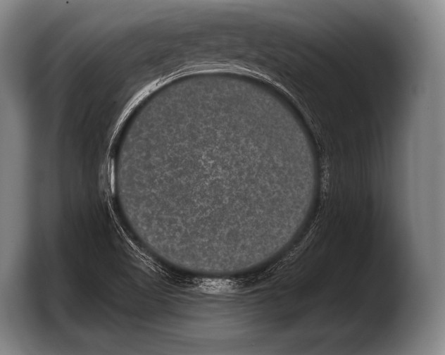 X0000103321509200810060944