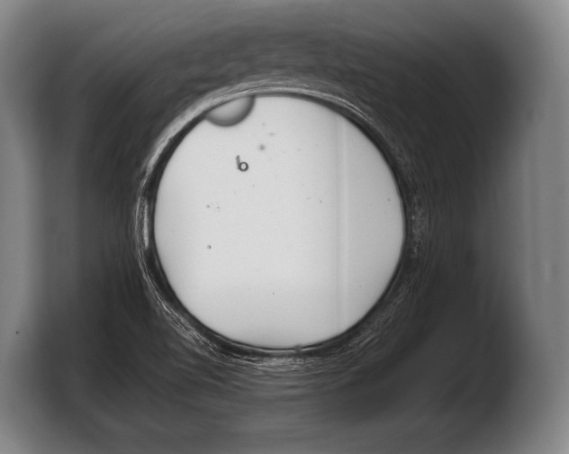 X0000103321510200810060944