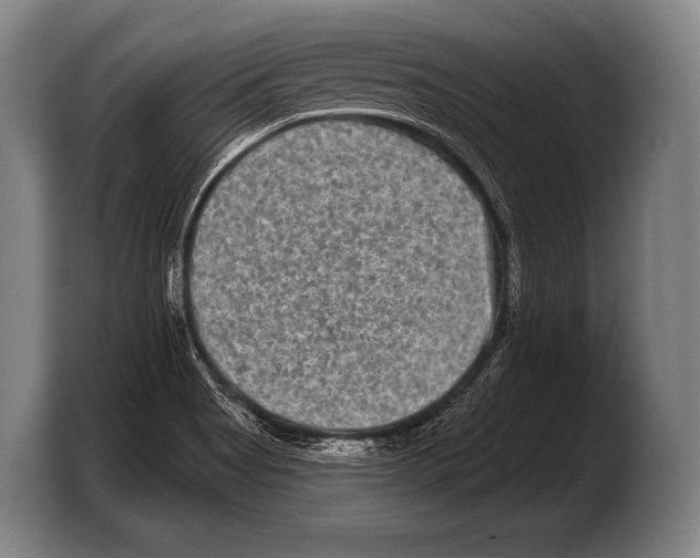 X0000103321513200810060944