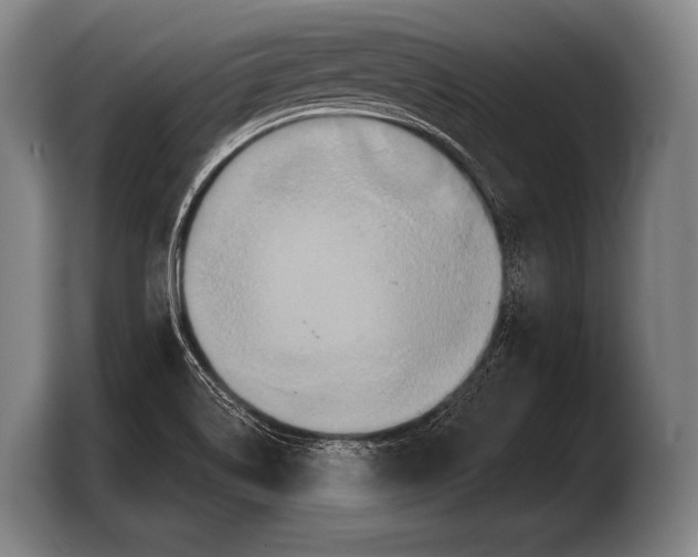 X0000103321514200810060944