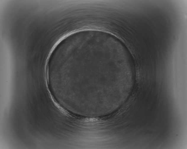 X0000103321515200810060944