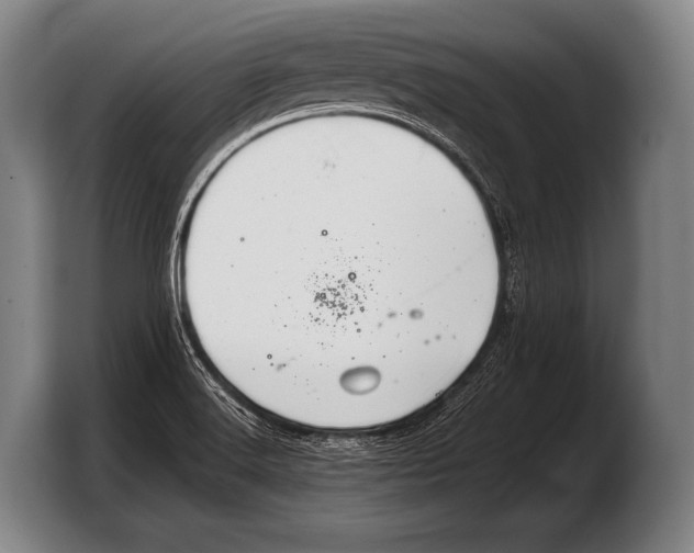 X0000103321516200810060944