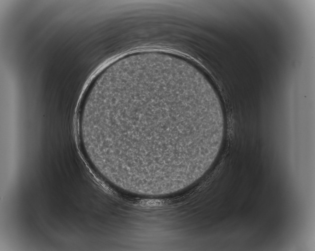 X0000103321517200810060944