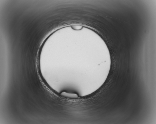 X0000103321518200810060944