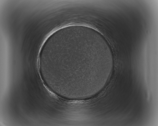 X0000103321519200810060944