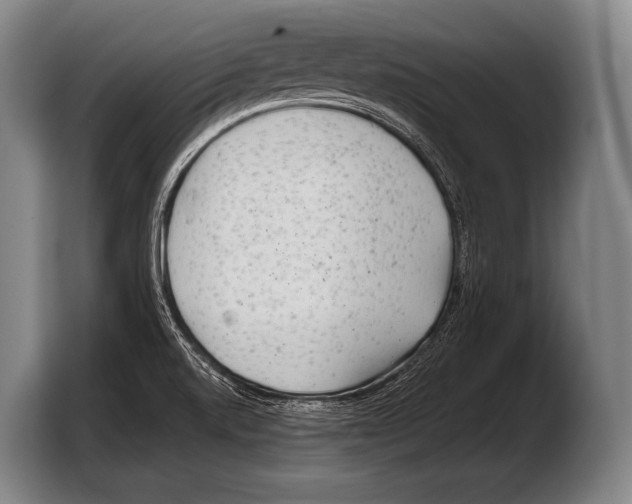 X0000103321520200810060944