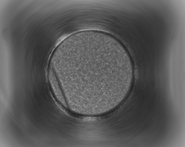 X0000103321521200810060944