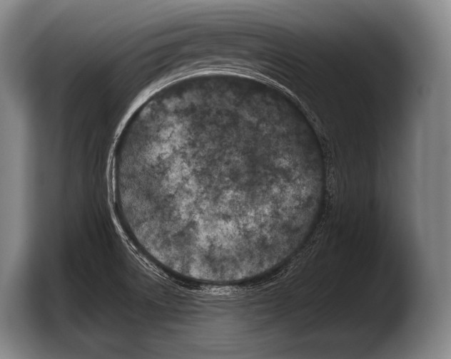 X0000103321522200810060944