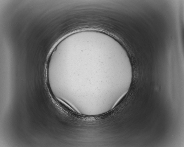 X0000103321524200810060944