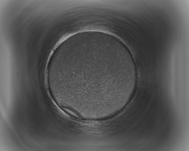 X0000103321525200810060944