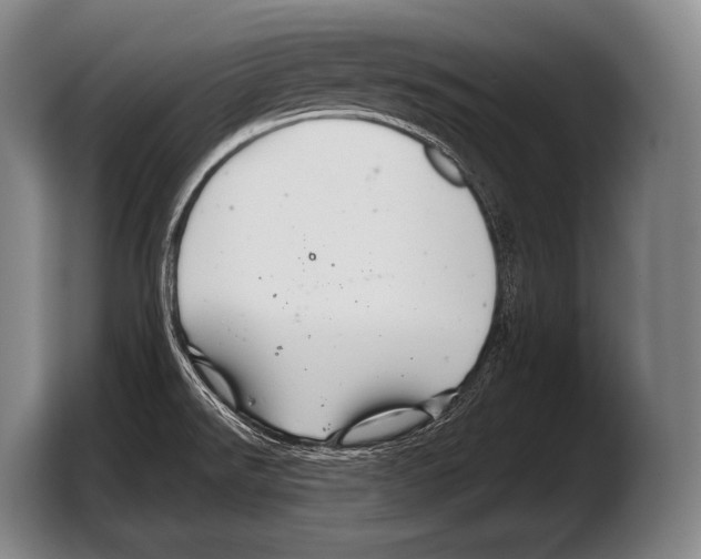 X0000103321526200810060944