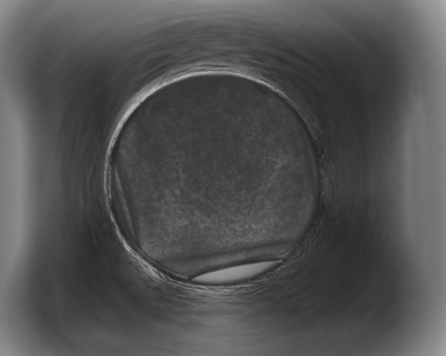 X0000103321527200810060944