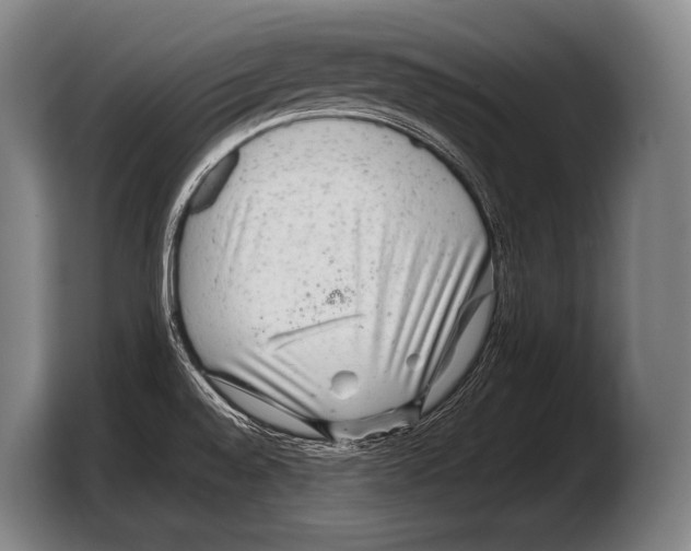 X0000103321528200810060944