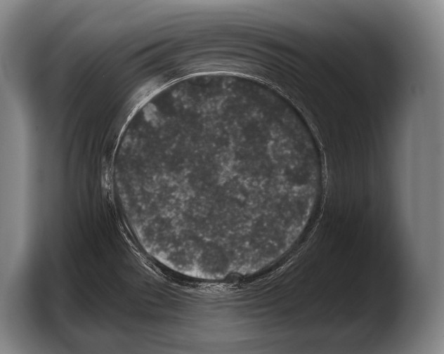 X0000103321529200810060944