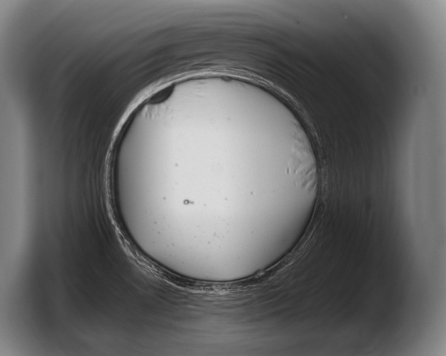 X0000103321530200810060944