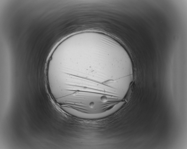 X0000103321532200810060944