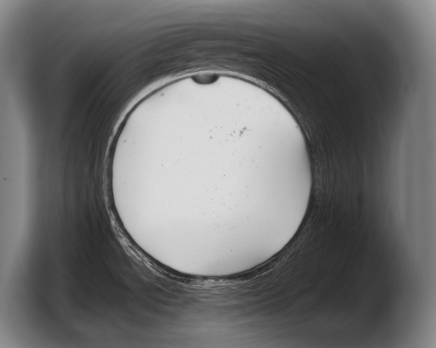 X0000103321534200810060944