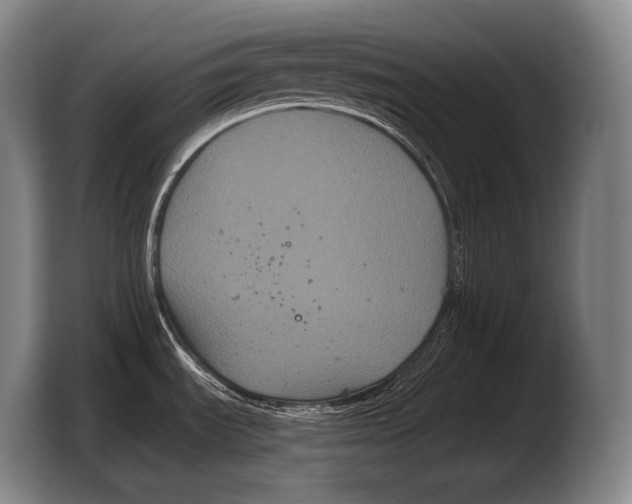 X0000103321535200810060944