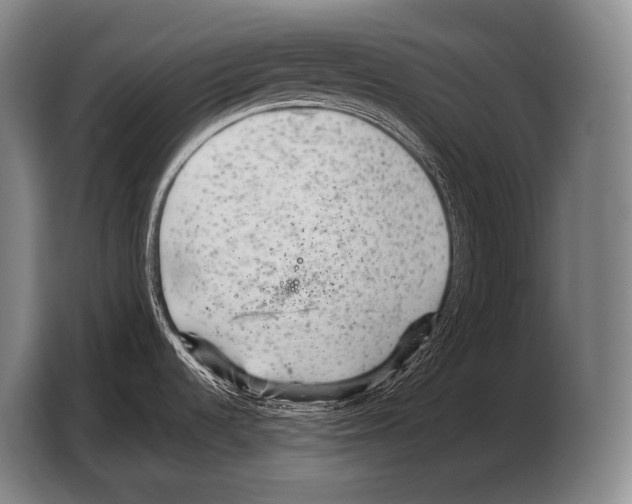 X0000103321536200810060945