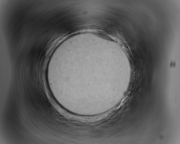 X0000103320001200810171412