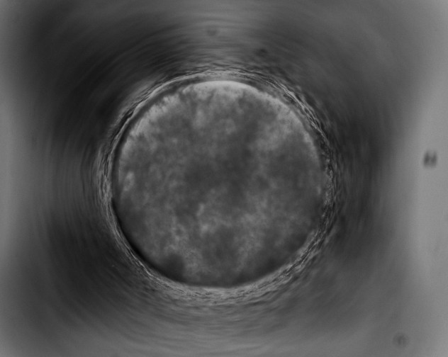 X0000103320002200810171412