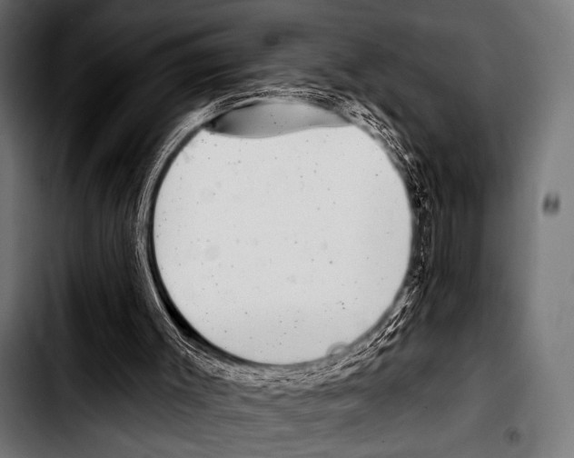 X0000103320003200810171412