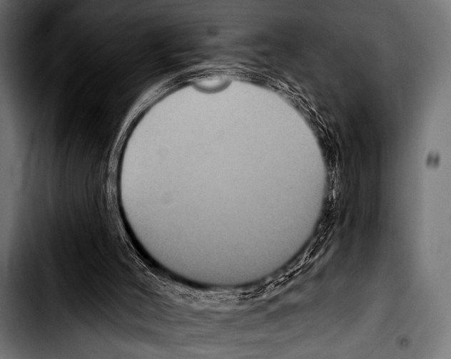 X0000103320004200810171412