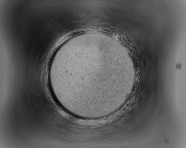 X0000103320005200810171412