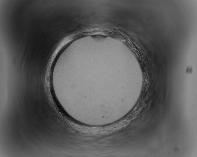 X0000103320006200810171412