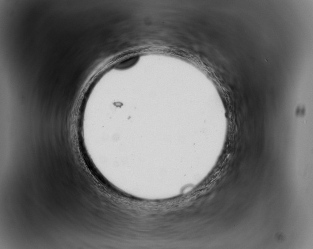 X0000103320007200810171412
