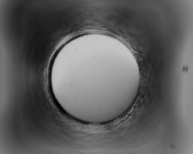 X0000103320008200810171412