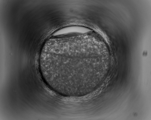 X0000103320009200810171412