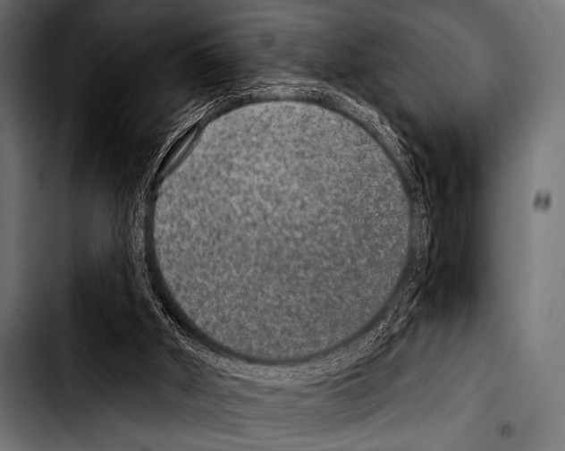 X0000103320010200810171412