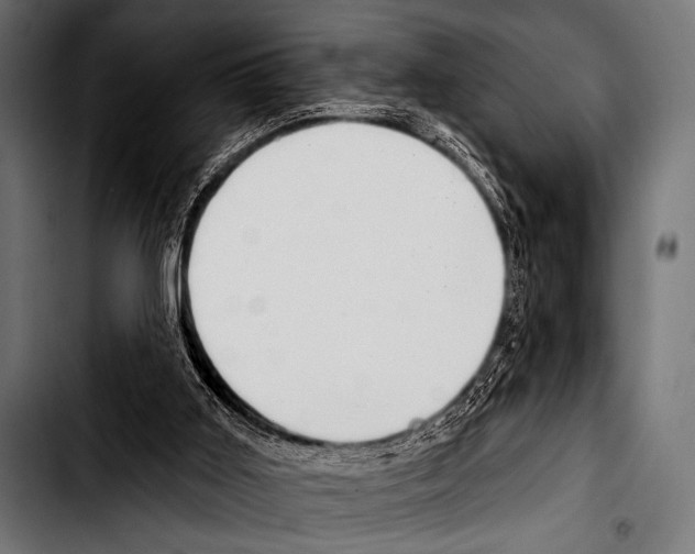 X0000103320011200810171412